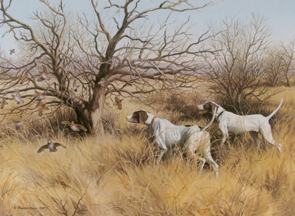 Maynard Reece 1980 Wildlife Framed Print - 2