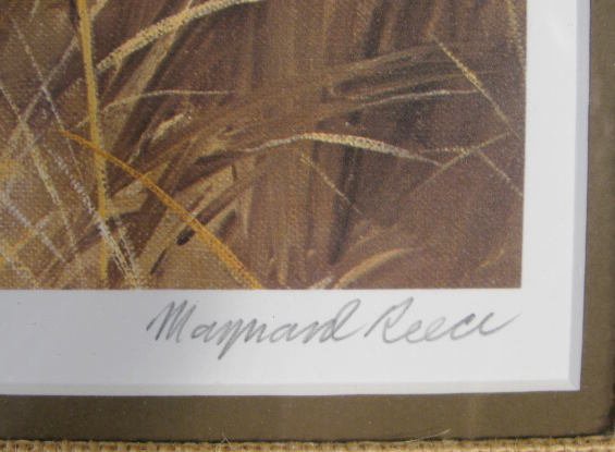Maynard Reece 1980 Wildlife Framed Print - 4