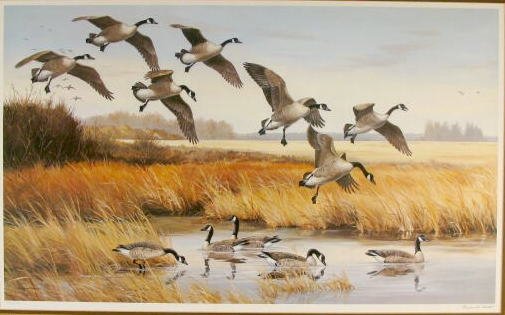 Maynard Reece 1979 Wildlife Framed Print - 2