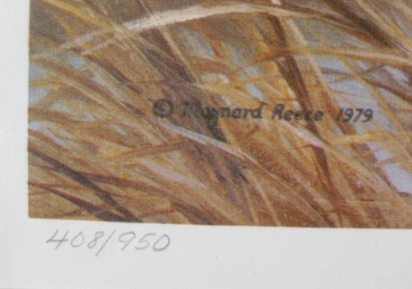 Maynard Reece 1979 Wildlife Framed Print - 3