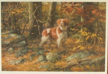 Robert K Abbett 1991 Wildlife Framed Print - 2