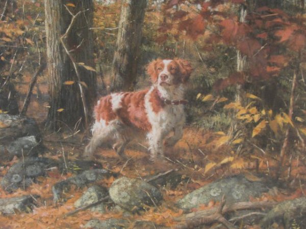 Robert K Abbett 1991 Wildlife Framed Print - 3