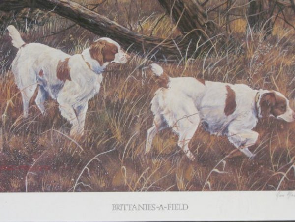 Jan Martin McGuire Wildlife Framed Print - 2