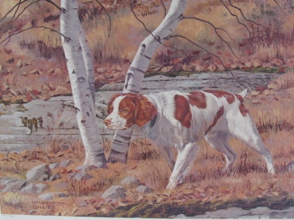 William Gillies Wildlife Framed Print - 3