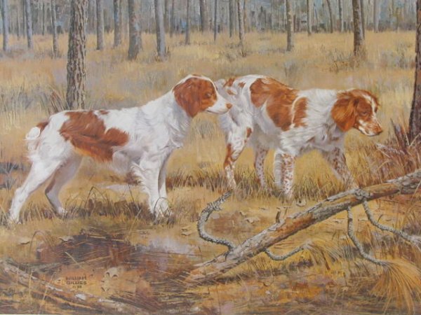 William Gillies 1982 Wildlife Framed Print - 3