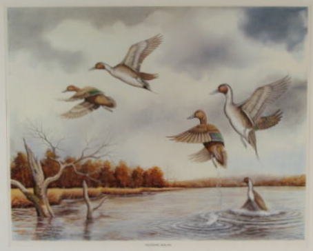 Allen Hughes Wildlife Framed Print - 2