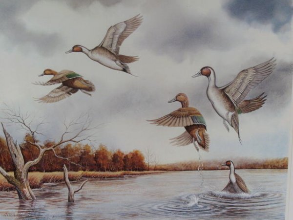 Allen Hughes Wildlife Framed Print - 3