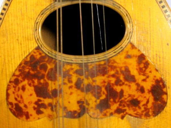 8 String Pumpkin Seed Mandolin - 3
