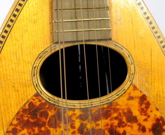 8 String Pumpkin Seed Mandolin - 6
