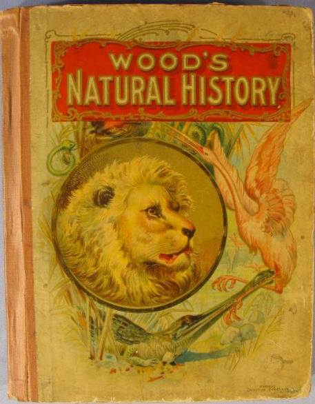 Group of 6 MA Donohue & Co. Childrens' Books - 7