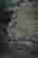 item-86965082=5