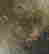 item-86965289=5