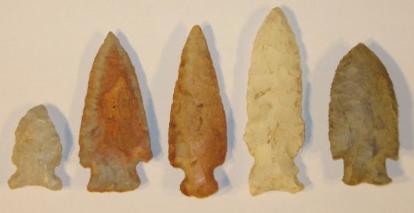 Native American: 5 Projectile Points: Native American: 5 Projectile Points: grey, brown & white. Most have similar style tops with notches. 1 1/2" to 3 1/8" L. All items sell As Is, Where Is, no guarantees of any kind. We accept Mastercar
