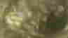 item-102819587=7