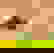 item-1112115=5
