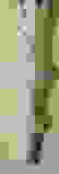 item-1408174=6