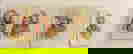 item-1600869=3