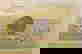 item-1600881=2