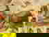 item-1600932=2