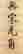 item-61784034=3