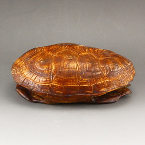 Vintage Chinese Horn Carved Divination Turtle Shell