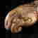 item-66033496=7