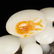 Multicolour Hetian Jade Deadwood & Mushrooms Statue - 12