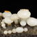 Multicolour Hetian Jade Deadwood & Mushrooms Statue - 13