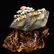 Multicolour Hetian Jade Deadwood & Mushrooms Statue