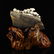 Multicolour Hetian Jade Deadwood & Mushrooms Statue - 3