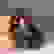 item-80371340=3
