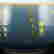 item-94948067=11
