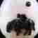 item-103121987=2