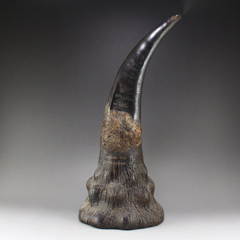 Vintage Chinese Ox Horn Statue: Vintage Chinese Ox Horn Statue Dimension: 330 x 135 x 117 (mm) 12.99 x 5.31 x 4.61(inches) Weight: 2.84 lbs/1288 g