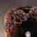 item-110504525=2