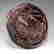 item-110504817=5
