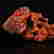 item-110505208=3