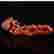 item-110505208=6