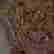 item-127517924=4