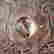 item-127518429=2