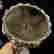 item-129476180=7