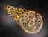 item-129482237=3