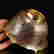 item-129482296=8