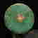 item-129482563=9