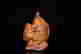 item-129482583=3