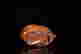 item-129482583=9