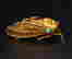 item-130551612=5