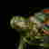 item-130551615=6