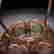 item-130551646=7