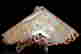 item-130551656=5